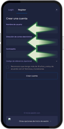 Completar los campos obligatorios